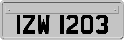 IZW1203