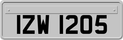 IZW1205