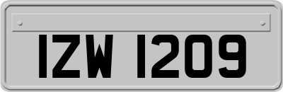 IZW1209