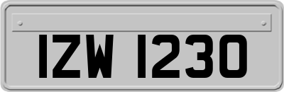 IZW1230