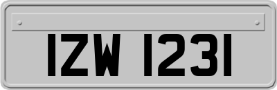 IZW1231