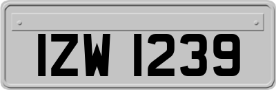 IZW1239