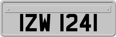 IZW1241