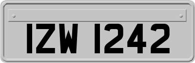 IZW1242