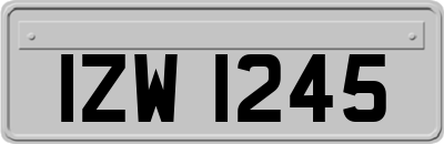 IZW1245