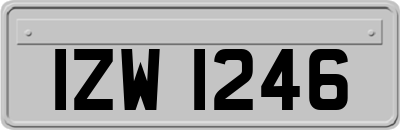 IZW1246
