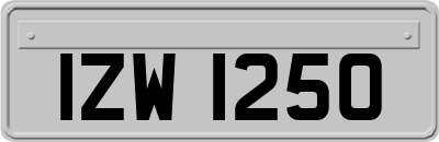 IZW1250
