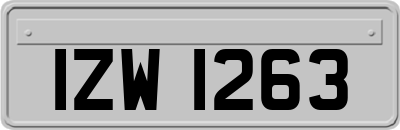 IZW1263
