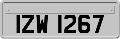 IZW1267