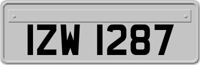 IZW1287