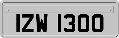 IZW1300