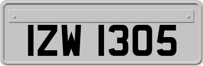 IZW1305