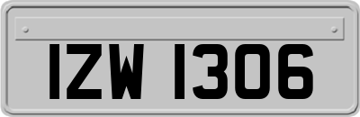 IZW1306