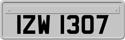 IZW1307