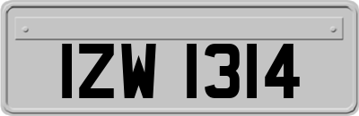 IZW1314