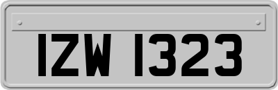 IZW1323