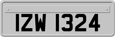 IZW1324