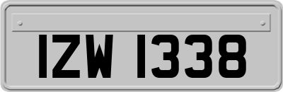 IZW1338