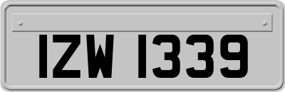 IZW1339