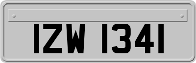 IZW1341
