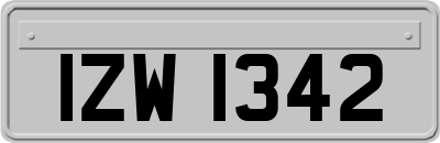 IZW1342