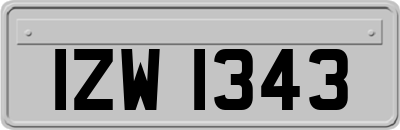 IZW1343