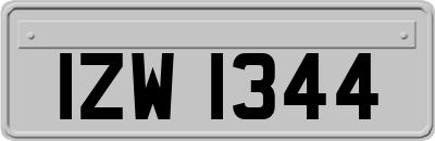 IZW1344