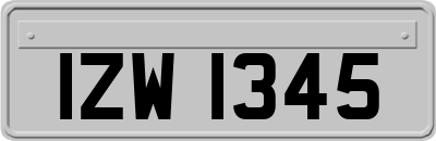 IZW1345