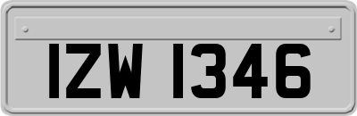 IZW1346