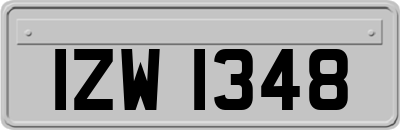 IZW1348