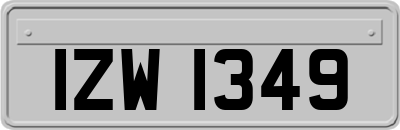 IZW1349