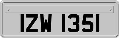 IZW1351