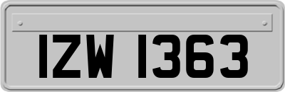 IZW1363