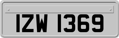 IZW1369