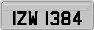 IZW1384