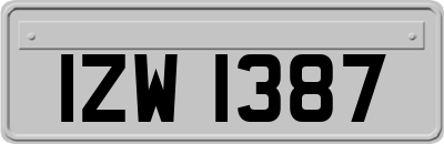 IZW1387