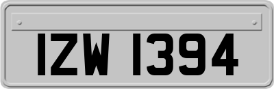 IZW1394