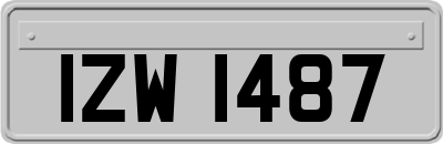 IZW1487