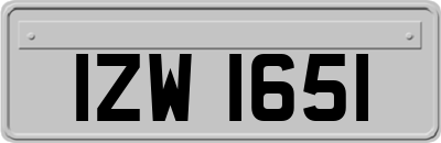 IZW1651