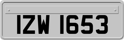 IZW1653