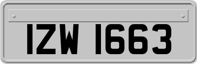 IZW1663