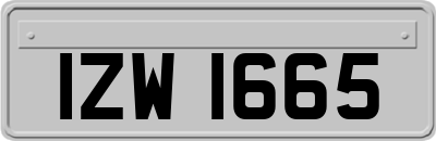 IZW1665