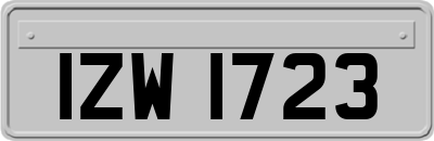 IZW1723