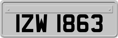 IZW1863