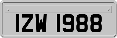 IZW1988