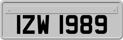 IZW1989