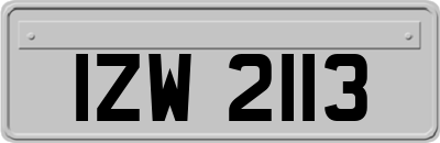 IZW2113