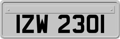 IZW2301