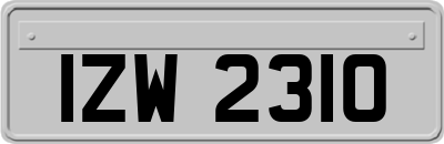 IZW2310