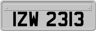 IZW2313